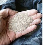 Sogenannter Grobkalk als Kalksteingranulat in einer Körnung von 0,9 bis 1,4 mm hat eine besonders langsame Wirkung. Dieser kohlensaure Kalk kann jetzt im Winter bis unmittelbar vor dem Kulturbeginn im März ausgebracht werden. Wenn Sie etwa alle drei Jahre 150 g kohlensauren Kalk pro m<sup>2</sup> streuen, bleiben der Kalkgehalt und damit der pH-Wert des Bodens stabil. Bei zu niedrigen pH-Werten unter 5,5 ist eine Gesundungskalkung oder Aufkalkung mit deutlich höheren Kalkmengen notwendig.