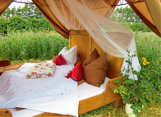  Ein Himmelbett im Himbeerfeld 