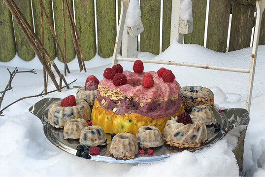Diese Vogelfuttertorte ist auch fr Menschen ein Blickfang