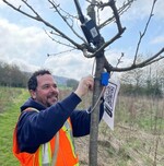 Sensoren geben Auskunft über den Wasserbedarf der Obstbäume.