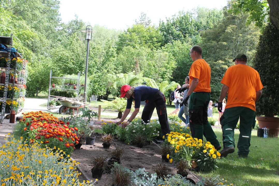 Sommerbepflanzung der Gartenpromenade im IGA-Gelände