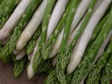 Der erste Spargel der Saison wurde bereits Anfang Mrz in bodenbeheizten Anlagen gestochen