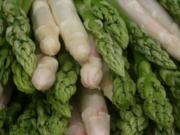 Spargel steht als saisonales und regionales Produkt in besonderer Weise auch fr das Thema Genuss