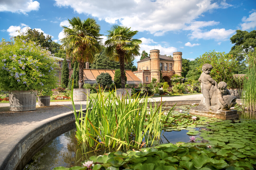 Rundgang "Ganz schön dufte . schmecken, riechen, fühlen" im Botanischen Garten Karlsruhe