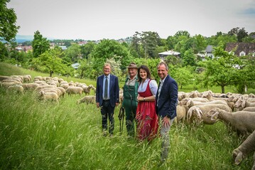 (v. l.) Bambergs Oberbrgermeister Andreas Starke, Schfer Anton Knig, Agrarministerin Michaela Kaniber und Umweltminister Thorsten Glauber in einer Streuobstwiese.