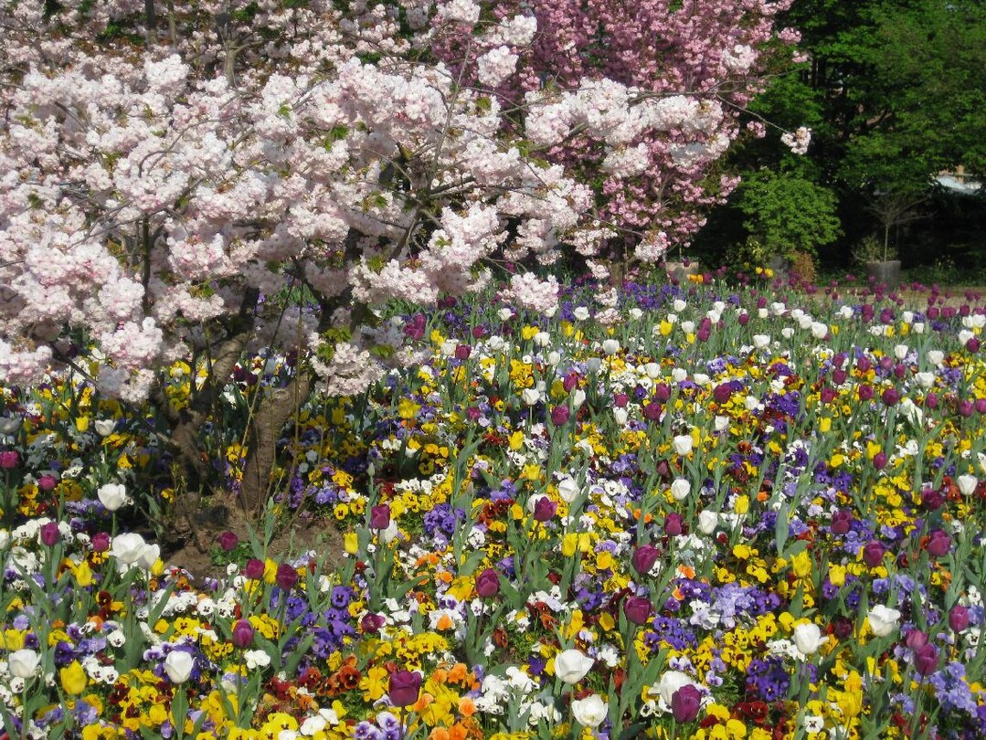 Parks und Gärten haben besonders in Großstädten eine wichtige Erholungsfunktion.
