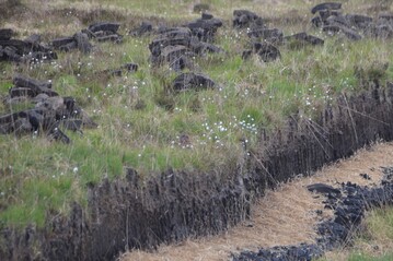 Torfabbau auf der schottischen Insel Islay