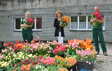 Mainau-Grtnerin Lena Leisinger, Luise Mitsch (Vorsitzende des Altenhilfevereins Konstanz) und Mainau-Grtner Stefan Reisch bei der bergabe der Tulpen an die Konstanzer Pflege- und Altenheime
