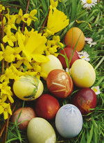 Auch mit Naturfarben aus dem Garten
gefärbte Eier sehen attraktiv aus