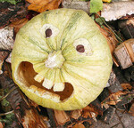 Traditionell werden an Halloween
Kürbisfratzen angefertigt, aber
auch beleuchtete Apfelfratzen können
stimmungsvoll sein