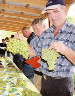 Versuchsbetriebsleiter Roman Döppler prä-
sentierte die großbeerige Sorte ‘Arkadia’
