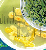 Der Diagnose-Test soll auch helfen he-
rauszufinden, ob Krankheitskeime Früch-
te und Gemüse bei Anbau, Bewässerung,
Düngung, Verarbeitung oder während der
Lagerung kontaminiert haben