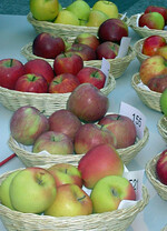 Für den Präferenztest ausgewählte Sorten.