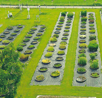 Garten der zweihundert Kruter