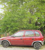 Im Herbst sollte man nicht unter fruchttragenden Bäumen parken