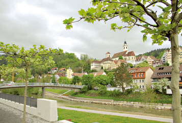 Vom Gartenschaugelnde am Neckar hat man einen
herrlichen Blick auf die Altstadt