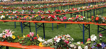 Barocke Gartentage in Ludwigsburg: Lngster floristischer Tischschmuck der Welt