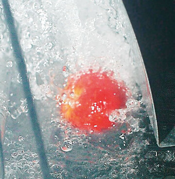 Jeder Apfel wird nach der Ernte mit 55 bis
60 C heiem Wasser geduscht