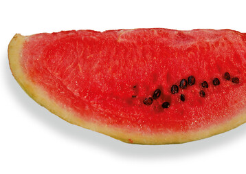 Wassermelonen haben ihren Ursprung in Westafrika