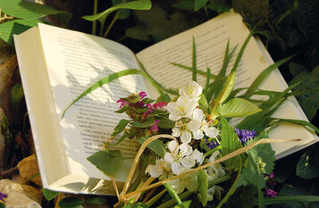 Eine Schmkerstunde im Garten kann erholsamer
sein als eine Urlaubsreise