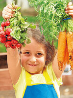 Ein Schulgarten bietet viele Möglichkeiten, den Unterricht und das Schulleben zu bereichern.