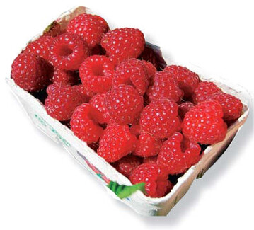 Himbo Top zhlt derzeit zu den besten
Herbsthimbeeren