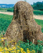 In Deutschland fehlen Bio-Bauern