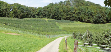 In Agrarlandschaften blht im Sommer nichts mehr