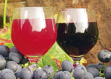 Rote Fruchtsfte, besonders roter Traubensaft, sind reich an gefschtzenden Polyphenolen