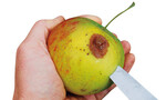 Patulin aus Faulstellen im Obst