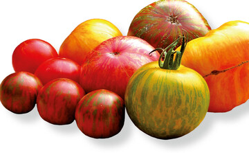 2013 traten bei den in Deutschland untersuchten Tomaten-Proben keine Rckstandshchstgehaltsberschreitungen auf.