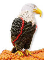 Der prächtige Weißkopf-Seeadler