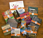 Birgit Söllner, Publicis Consultants