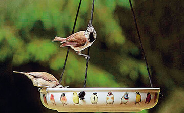 Vogeltrnke