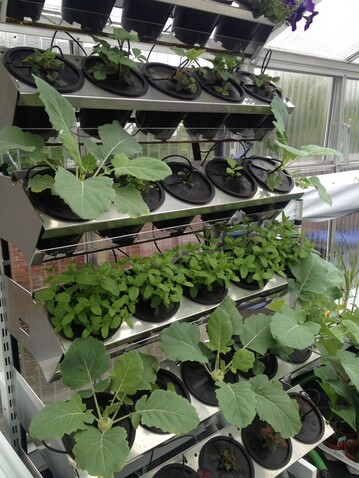 Vertical Farming: Gemseanbau auf dem Balkon