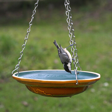 Eine Vogeltrnke im Garten hilft Vgeln ber die trockenen Sommermonate
