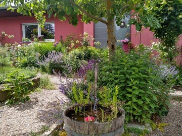 Ein Vorgarten mit Pflanzen- und Strukturvielfalt, wenig Versiegelung, Wasserelementen und Sitzgelegenheiten.