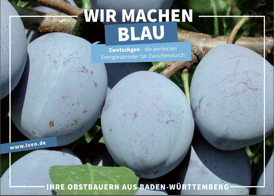 Eines der neuen Postkartenmotive