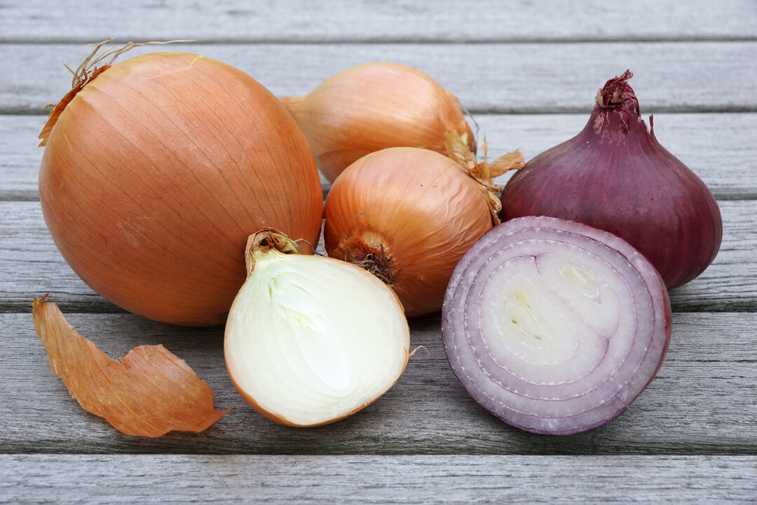 Über 130.000 Tonnen weniger Zwiebeln als im Vorjahr